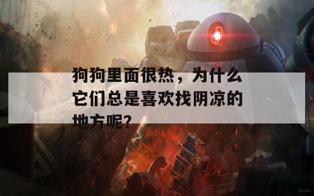 狗狗里面很热，为什么它们总是喜欢找阴凉的地方呢？