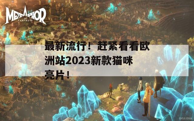 最新流行！赶紧看看欧洲站2023新款猫咪亮片！