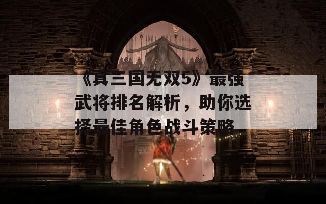 《真三国无双5》最强武将排名解析，助你选择最佳角色战斗策略