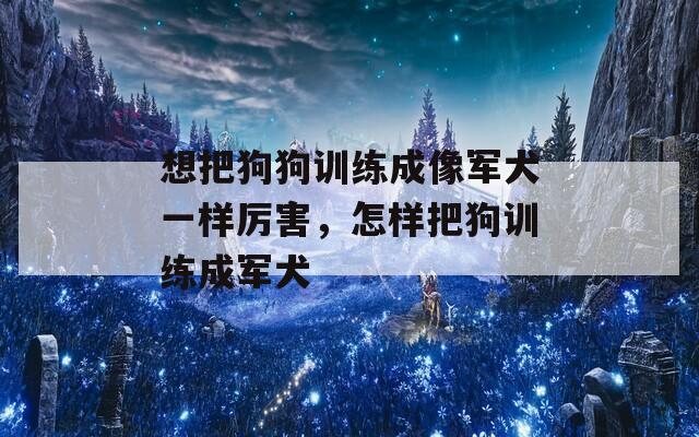 想把狗狗训练成像军犬一样厉害，怎样把狗训练成军犬