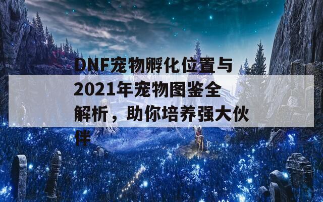 DNF宠物孵化位置与2021年宠物图鉴全解析，助你培养强大伙伴