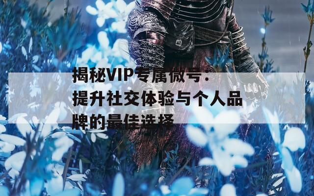 揭秘VIP专属微号：提升社交体验与个人品牌的最佳选择