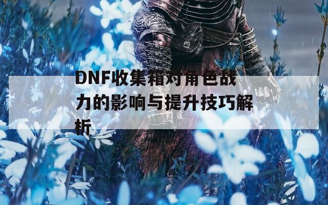 DNF收集箱对角色战力的影响与提升技巧解析  第1张