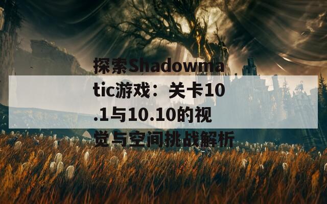 探索Shadowmatic游戏：关卡10.1与10.10的视觉与空间挑战解析  第1张