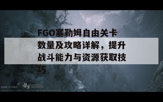 FGO塞勒姆自由关卡数量及攻略详解，提升战斗能力与资源获取技巧