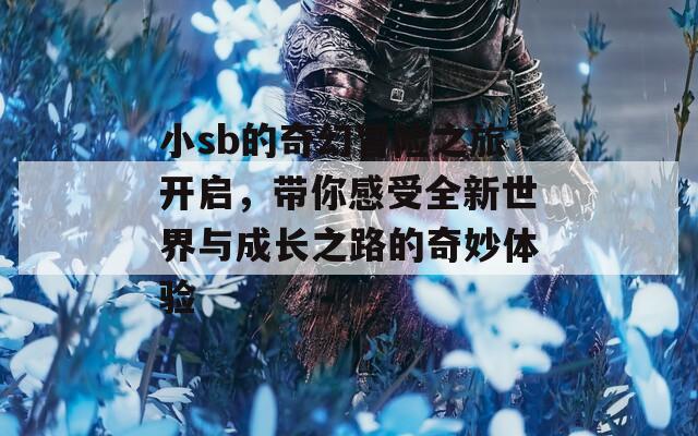 小sb的奇幻冒险之旅开启，带你感受全新世界与成长之路的奇妙体验