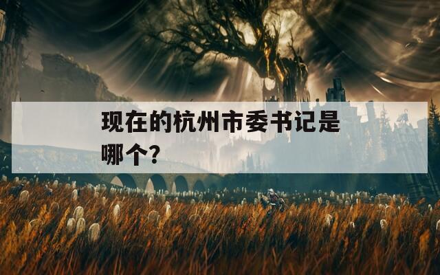 现在的杭州市委书记是哪个？