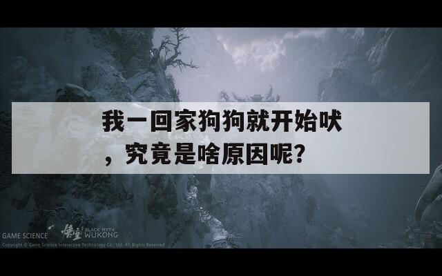 我一回家狗狗就开始吠，究竟是啥原因呢？