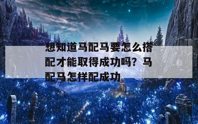 想知道马配马要怎么搭配才能取得成功吗？马配马怎样配成功