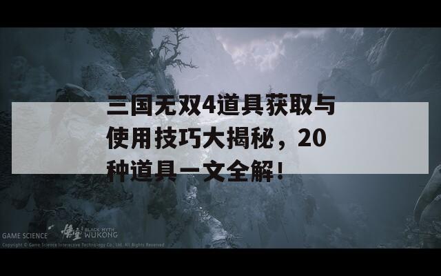 三国无双4道具获取与使用技巧大揭秘，20种道具一文全解！