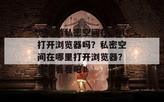 想知道私密空间在哪儿打开浏览器吗？私密空间在哪里打开浏览器？快来看看吧！