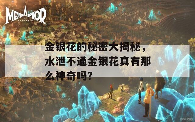 金银花的秘密大揭秘，水泄不通金银花真有那么神奇吗？