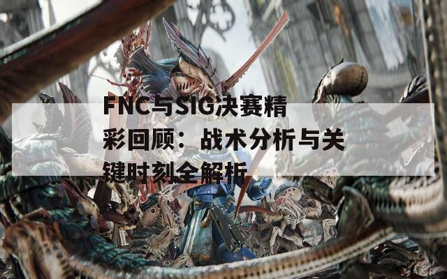 FNC与SIG决赛精彩回顾：战术分析与关键时刻全解析