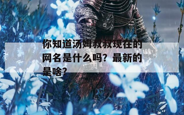 你知道汤姆叔叔现在的网名是什么吗？最新的是啥？