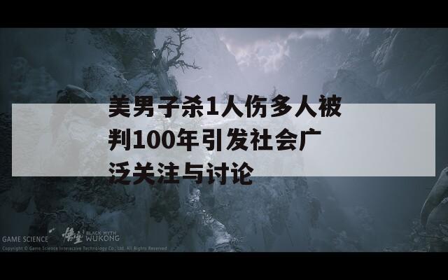 美男子杀1人伤多人被判100年引发社会广泛关注与讨论